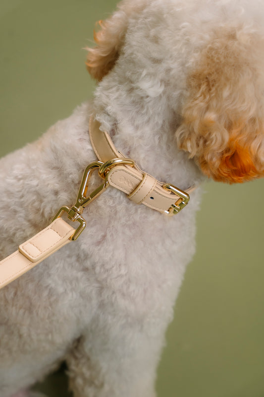 Copenhagen Collar - Cream | Nisse The Label