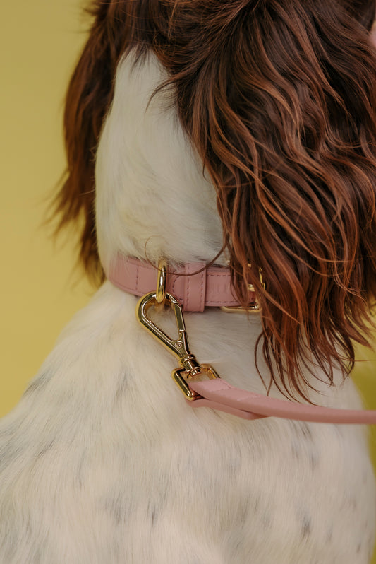 Copenhagen Collar - Rose | Nisse The Label