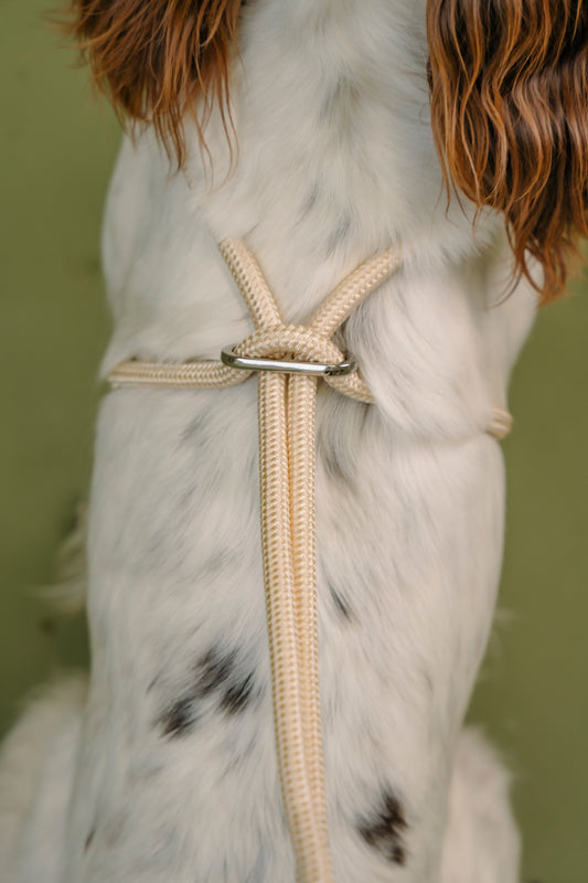 2-in-1 Lead | Nisse The Label