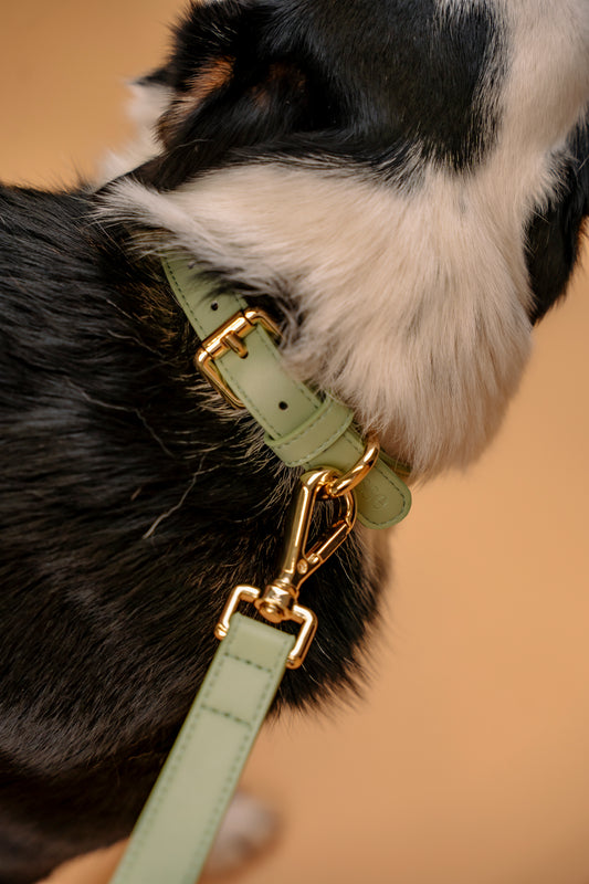 Copenhagen Collar - Sage | Nisse The Label